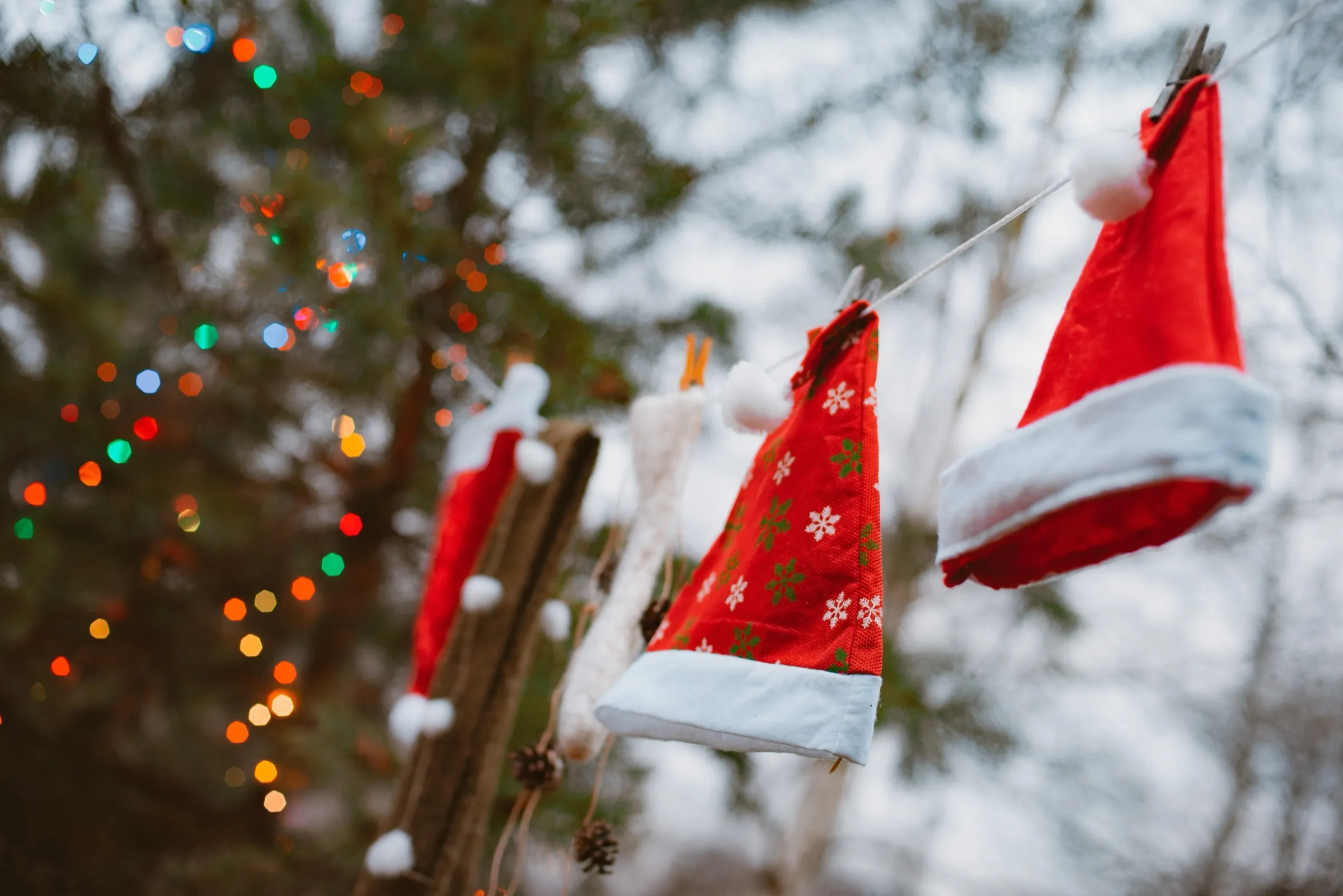 Gorros navideños colgados entre árboles con luces